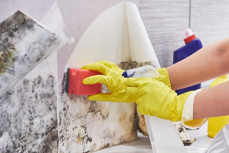 Air Duct Mold Removal in Broward County, FL