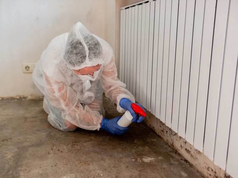 Air Duct Mold Removal in Essex County, NJ