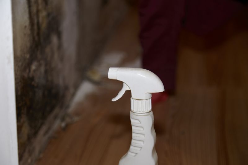 Air Duct Mold Removal in Fort Worth, TX