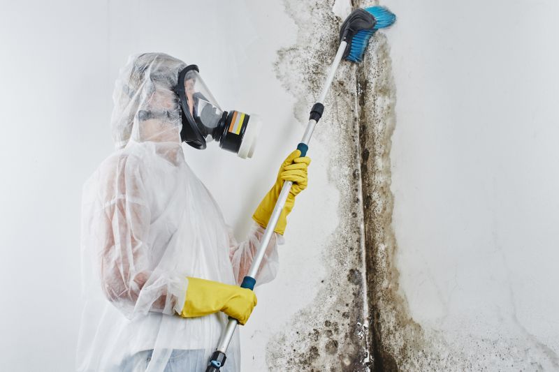 Attic Mold Remediation in West Palm Beach, FL