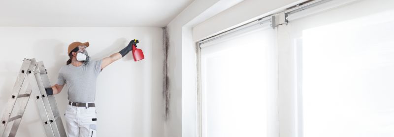 Attic Mold Removal in Fort Worth, TX
