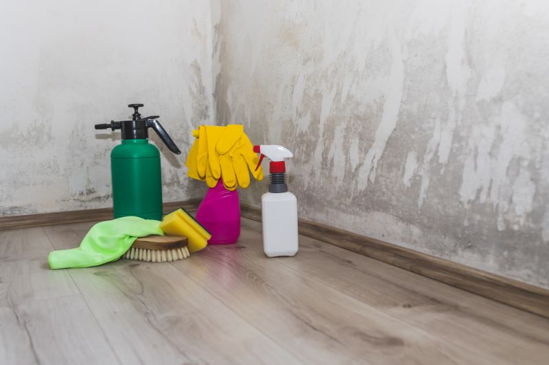 Crawl Space Mold Removal in Boca Raton, FL
