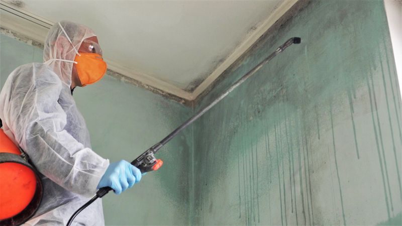 Mold Mitigation Service in Boca Raton, FL