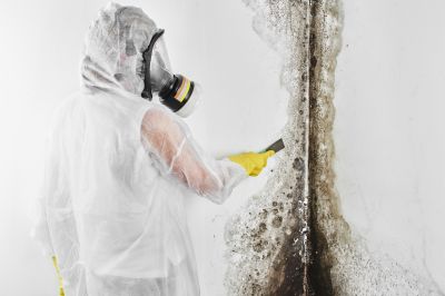 White Mold Mitigation in Fort Lauderdale, FL