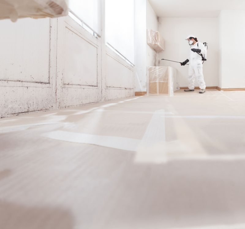Basement Mold Remediation in Boca Raton, FL