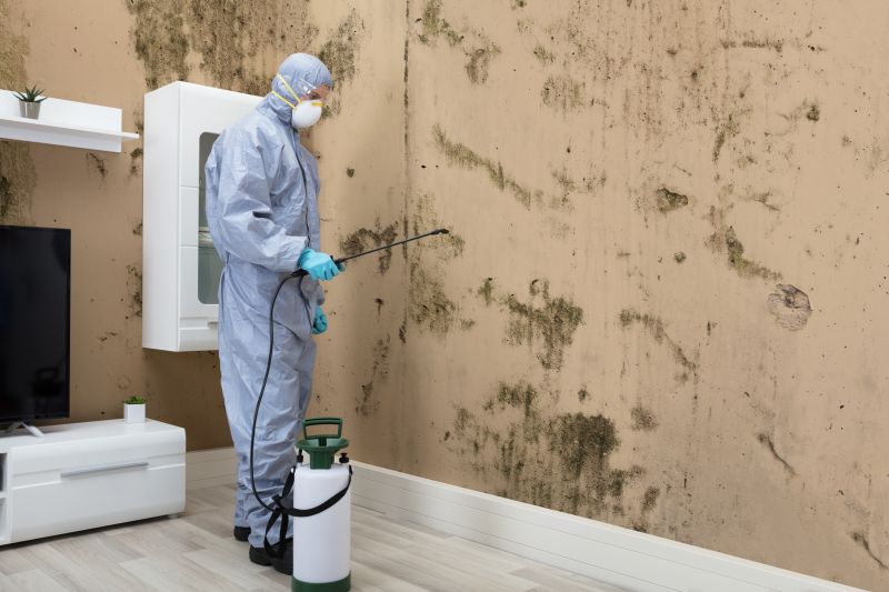 Mold Control in West Palm Beach, FL