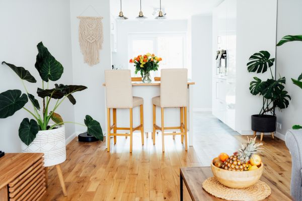 Bamboo Floor Cleaning