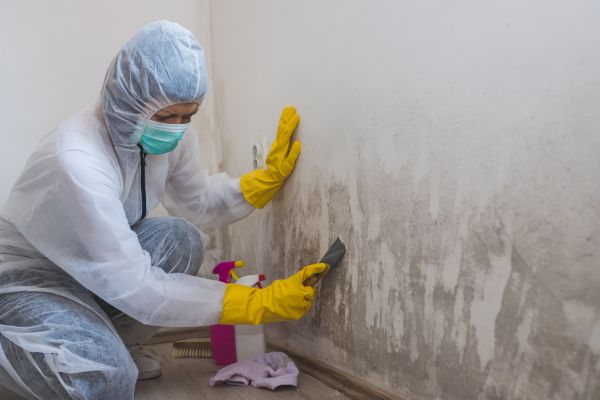 Basement Mold Remediation