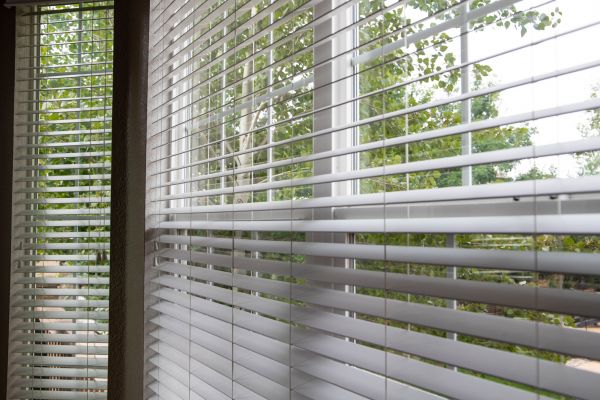 Blinds Repair