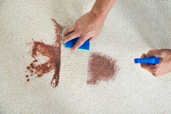 Carpet Spot Treatment - Carpet Spot Treatment Pleasanton, California