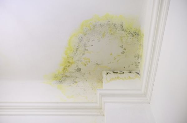 Ceiling Stain Removal