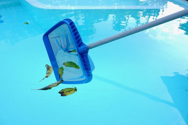 Pool Leaf Removal