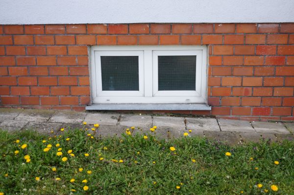 Basement Window Washing
